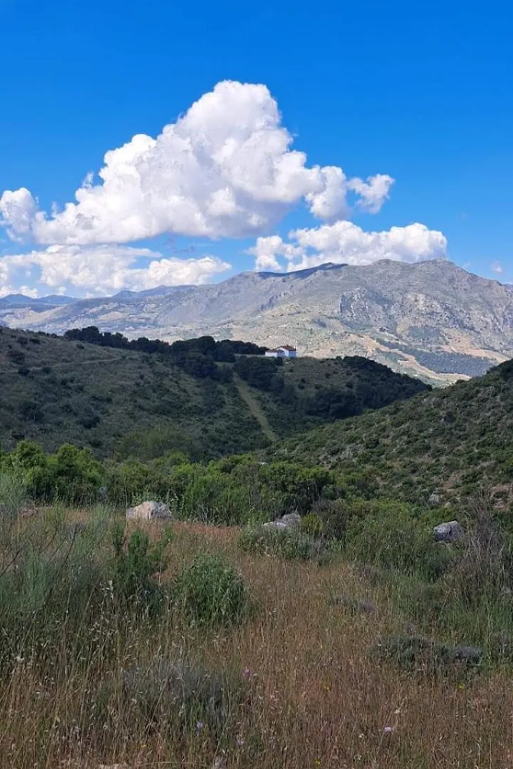 Dehesa El Mercadillo Jaén