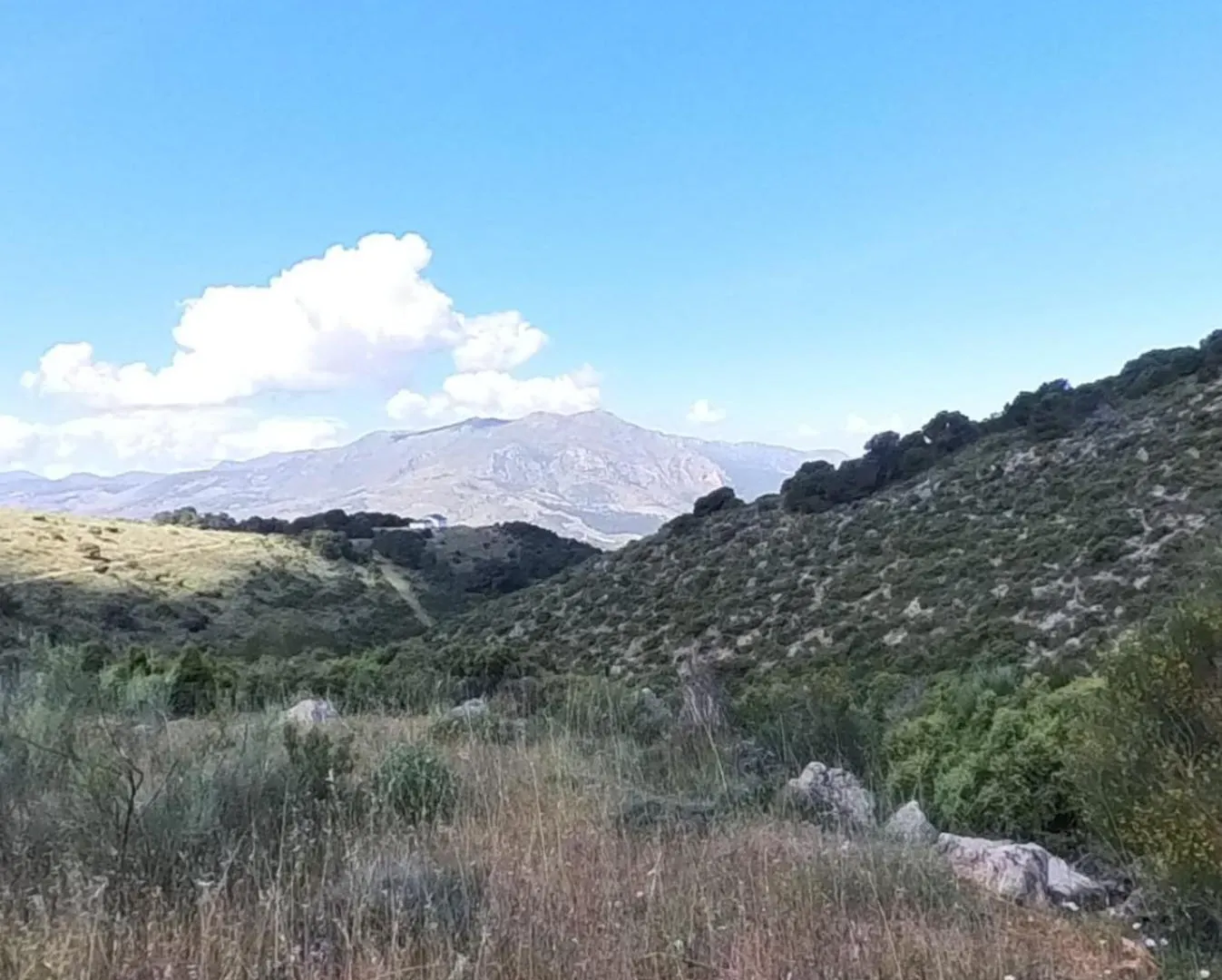 Dehesa El Mercadillo Jaén Alpstuga