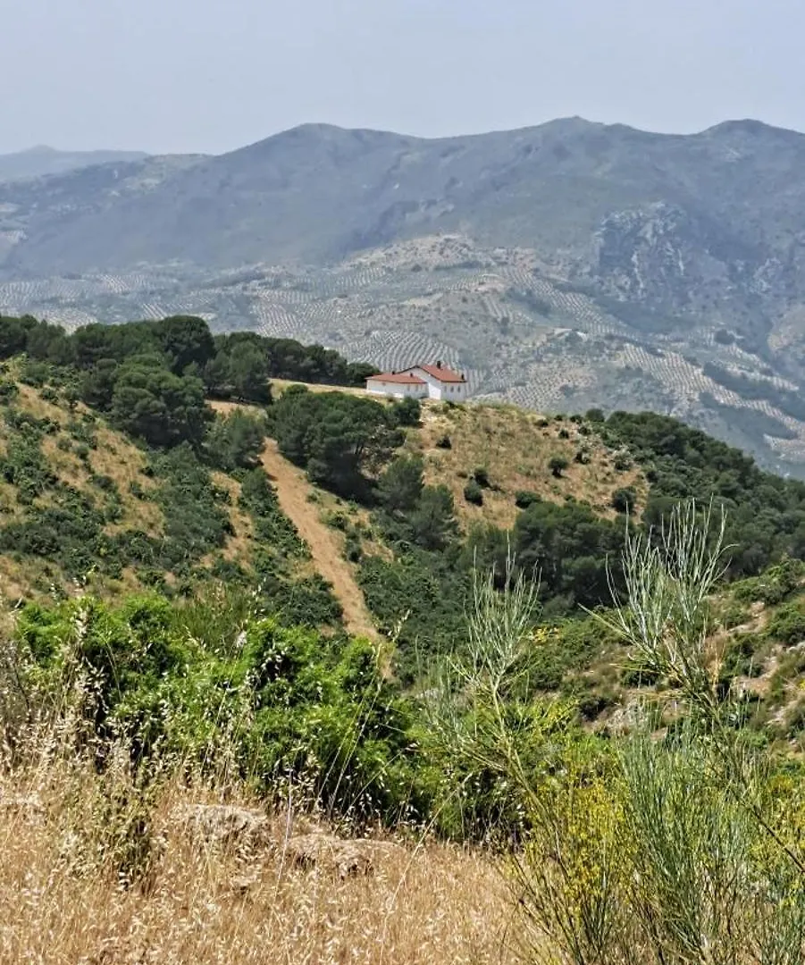 Chalet Dehesa El Mercadillo Jaén