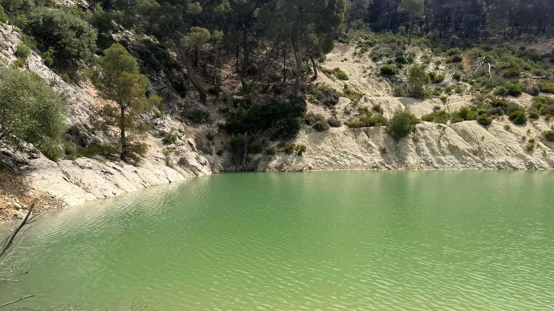 Dehesa El Mercadillo Jaén Chalet